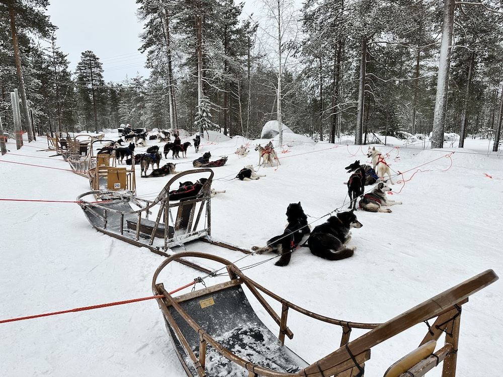 Rewards & incentives – asembl.group_huskie rides
